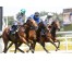  Carrera: P.Valderas Caballo: Octans Monta: V.Janacek